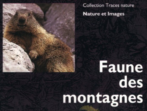 Faune des montagnes.jpg (55681 bytes)